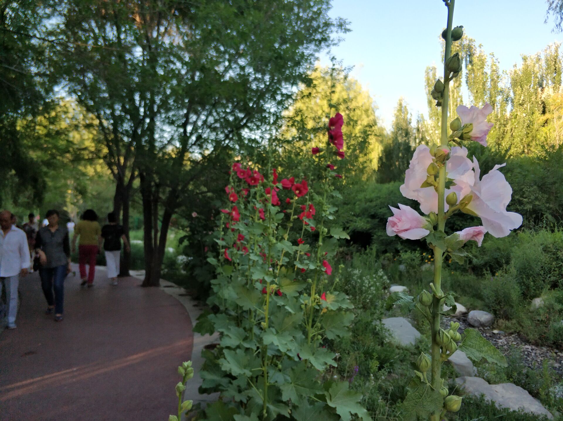 乌鲁木齐南湖公园夜景,乌鲁木齐南湖广场美景图片