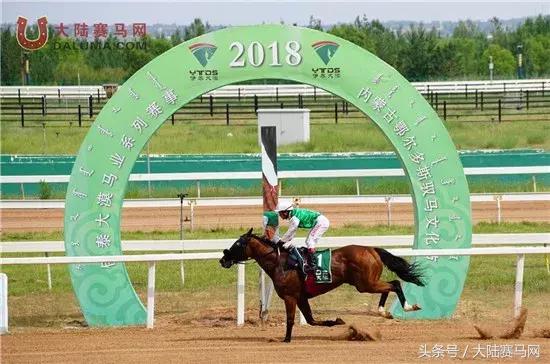 赛马点亮城市新名片：两位双冠王闪耀伊泰大漠“鄂尔多斯金杯”