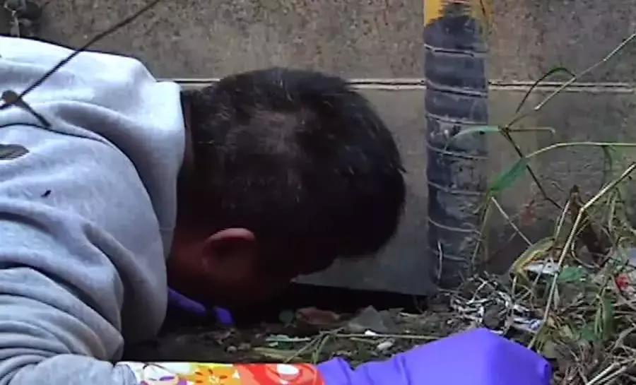 母狗将幼崽藏在下水管里,母狗总是把狗仔藏起来