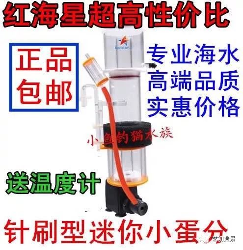 海缸方缸最合适的尺寸,超大海缸开缸教程新手入门