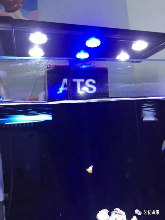 海缸方缸最合适的尺寸,超大海缸开缸教程新手入门