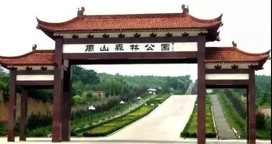 懿家推荐｜中南广场阅尽繁华方知山水无价安家中南纵享轻奢生活