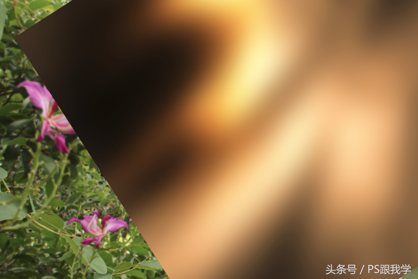 ps风景园林效果图教程,花园ps效果图教程