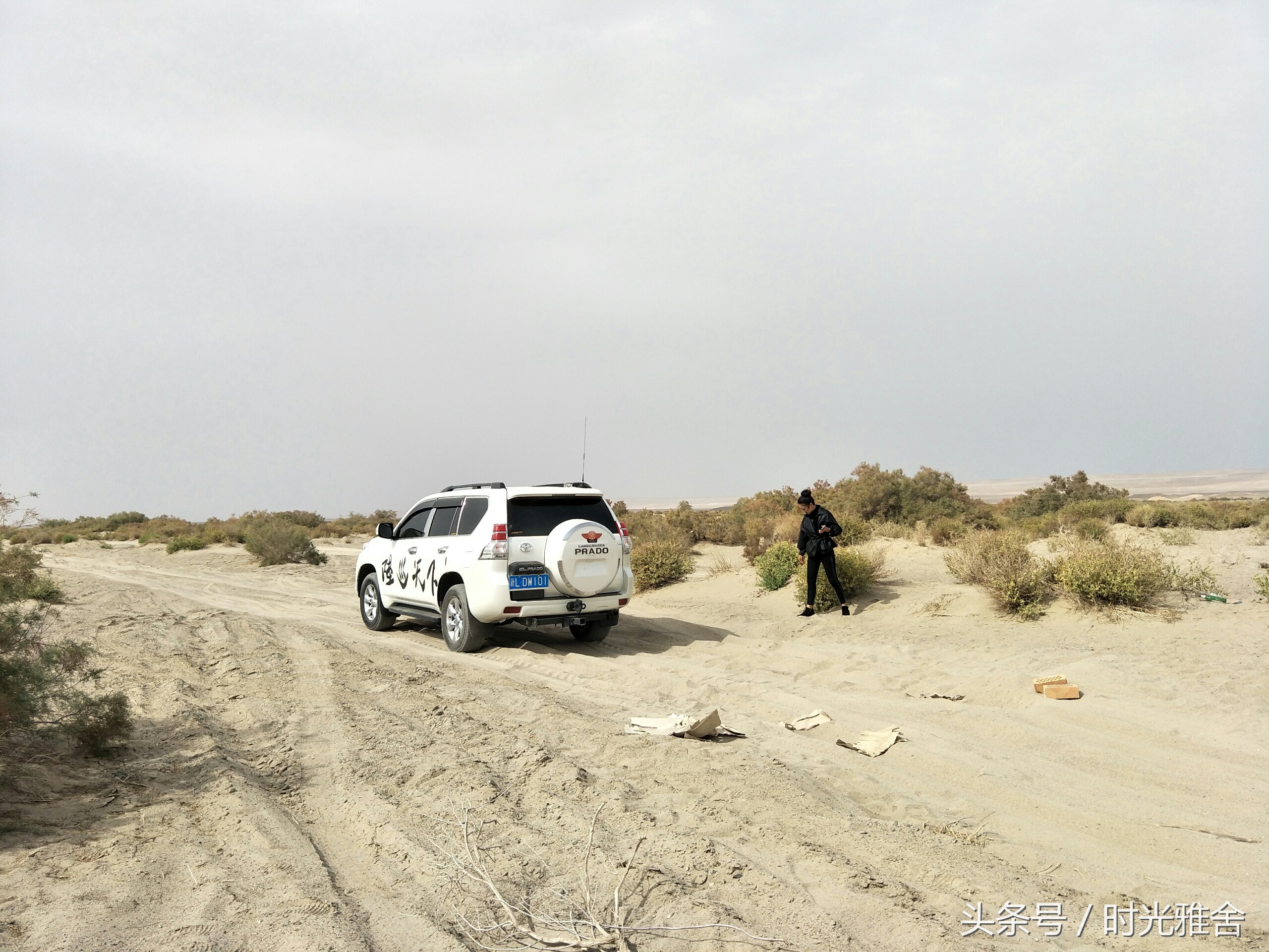 去看胡杨林,想去沙漠里看胡杨林