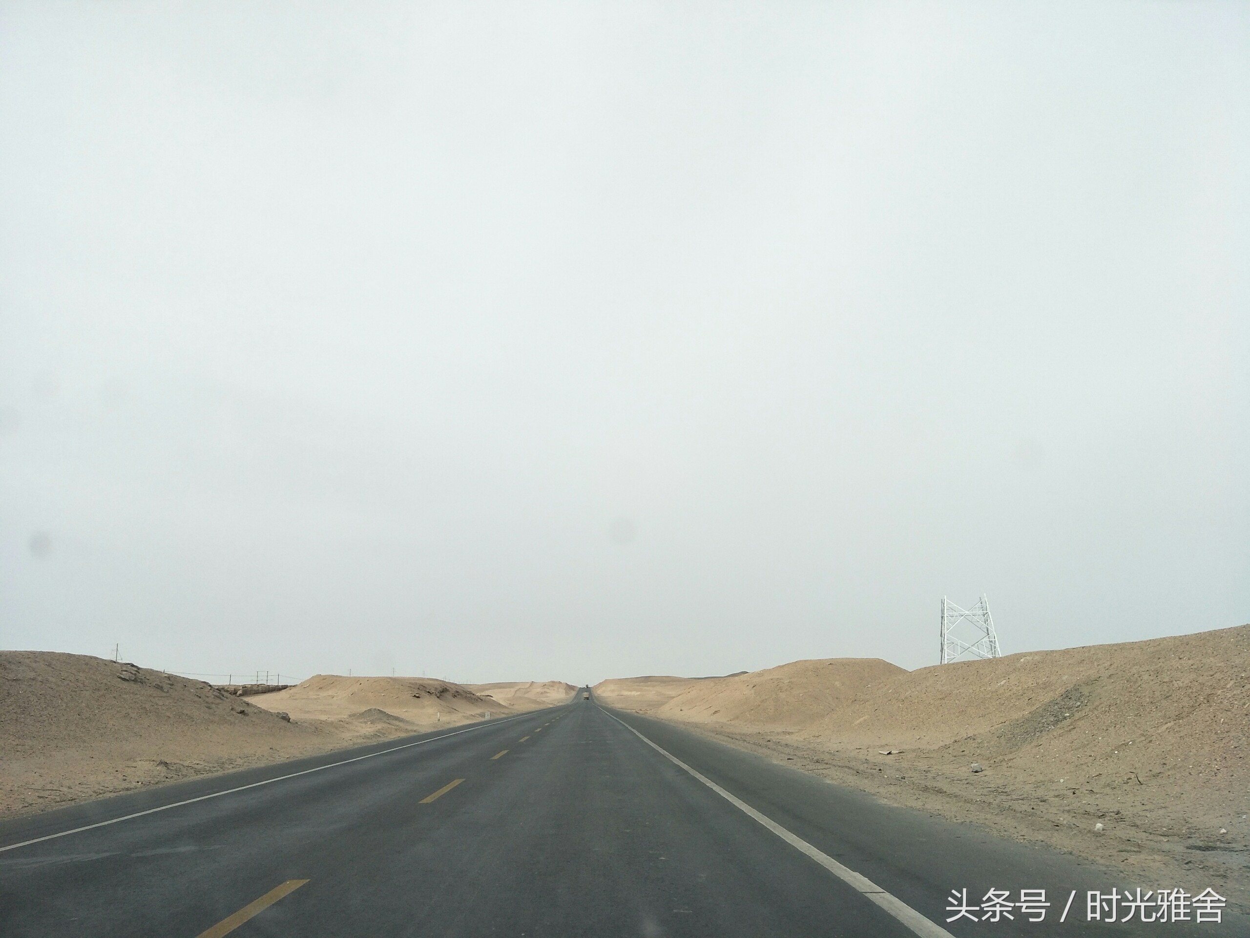 去看胡杨林,想去沙漠里看胡杨林