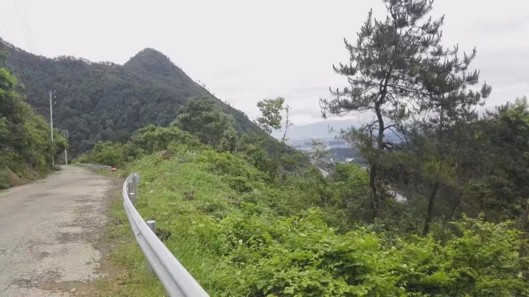 天没亮就出门下午才到目的地,天没亮就从农村出发