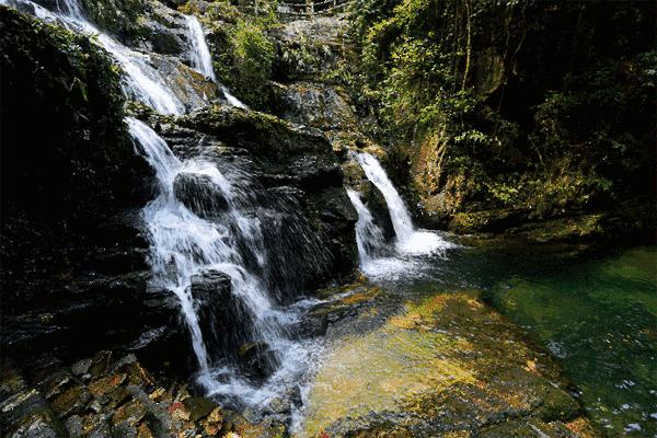 西峡网红打卡地吃饭 (南阳网红打卡地西峡)