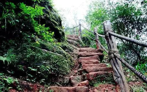 重庆最美爱情,重庆最感人的爱情