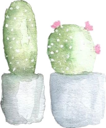 确认过眼神是打不过的人,确认过眼神打不赢的人