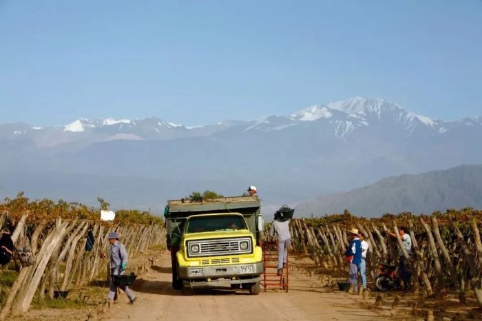 阿根廷的地理小报,阿根廷八卦