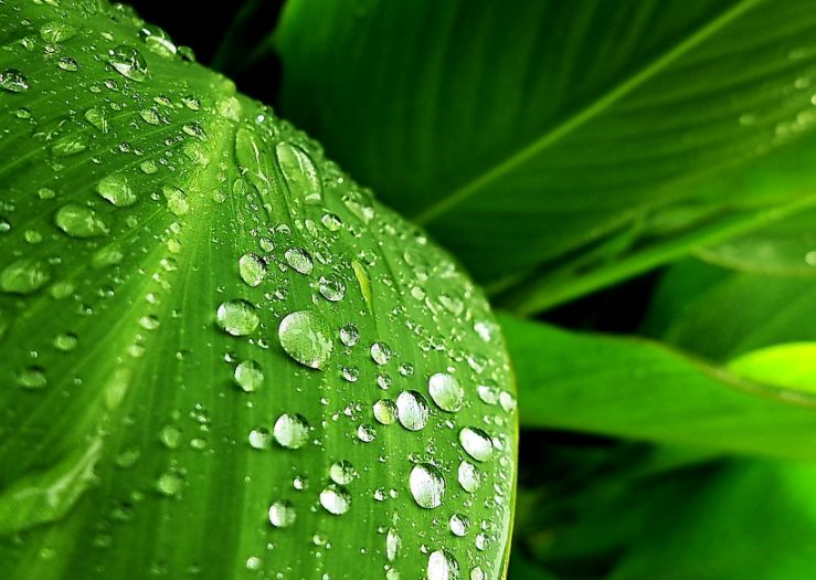 管恩锋十首经典歌曲,管恩锋