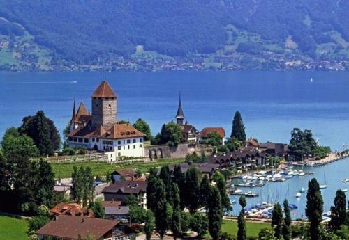 franckmuller法兰克穆勒官网,franckmuller手表多少钱