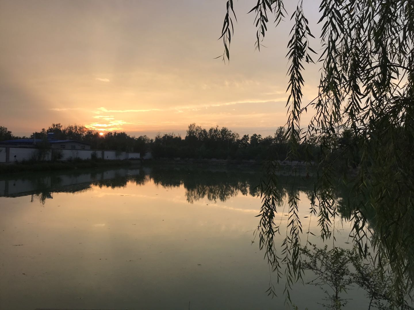 只知道北戴河？快来看看东戴河周恭府度假村-未被世人发现的海滨