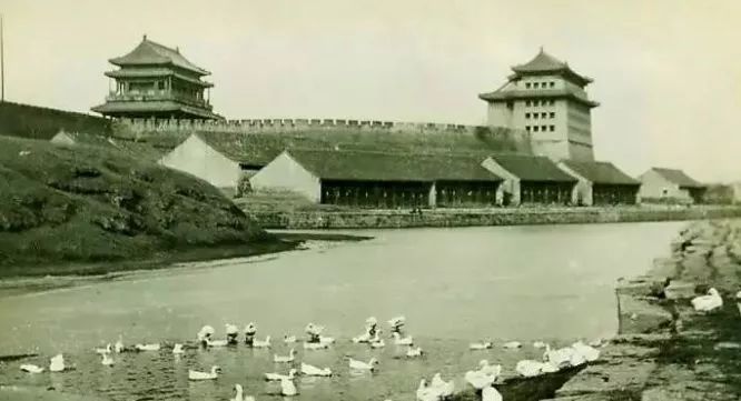 住在东八里庄，曾经很骄傲！现在更骄傲，因为……