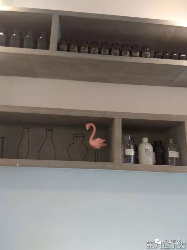 网友说｜这家店太美~已经控制不住自己的手机了