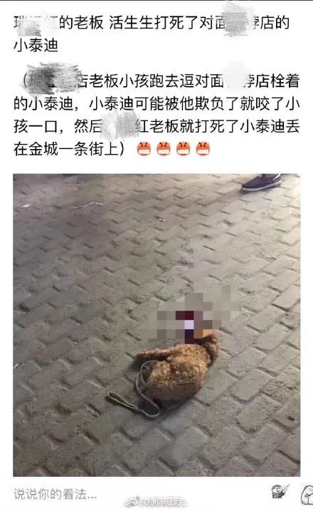 2岁儿子被咬老爸摔死泰迪，全家被人肉老婆闹自杀，网友吵翻了……