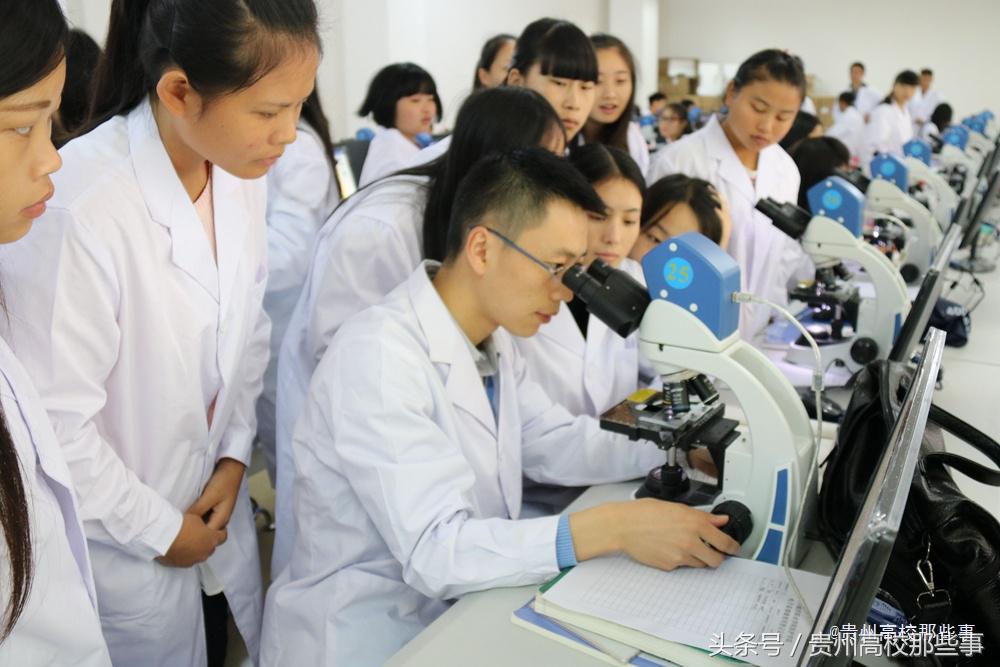 填志愿选贵州专科学校建议一下,贵州文史类大专院校