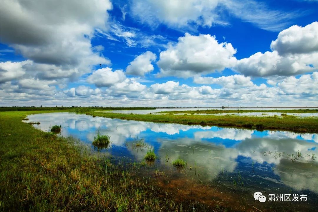太迷人了！肃州区的这幅生态画卷越绘越美丽！