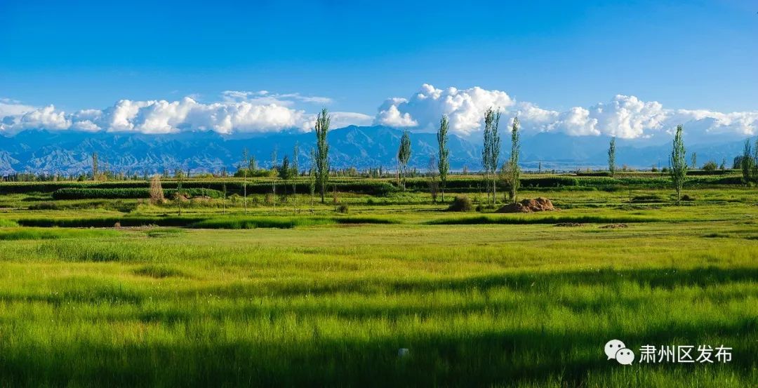 太迷人了！肃州区的这幅生态画卷越绘越美丽！