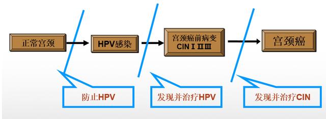 治疗hpv的药目前有哪些,治疗hpv的常用药有什么