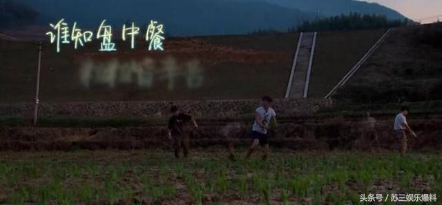 何炅穿2千元T恤插秧被喷?Baby干脆穿6500元爆款下泥田