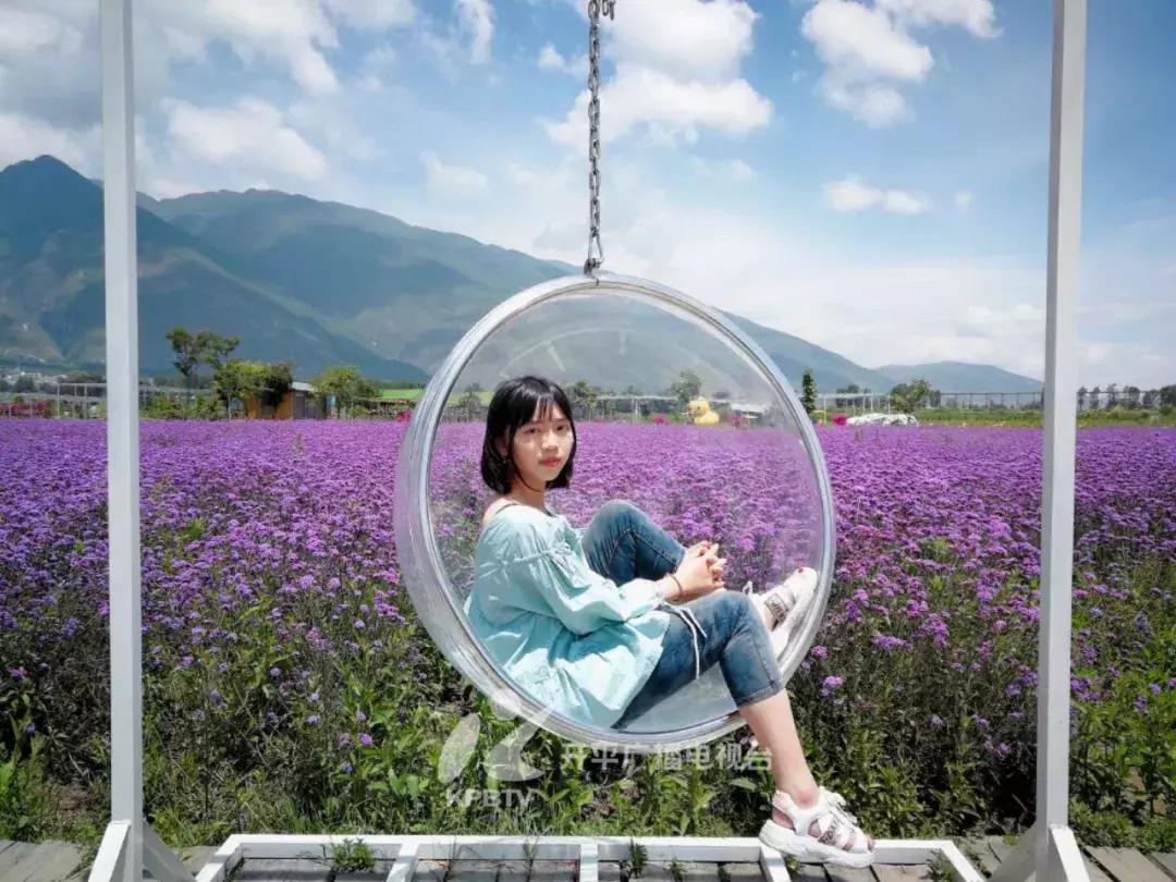 开平市高考第一,开平这次高考前十名