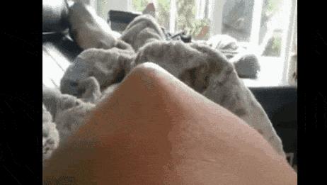 宝宝在肚子里胎动是怎样的,胎动时宝宝在肚子里做什么呀