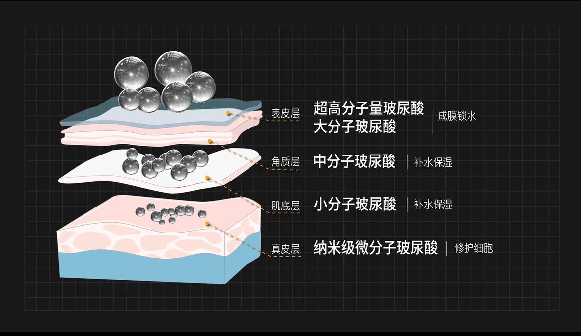 宠物玻尿酸,双分子玻尿酸宠物