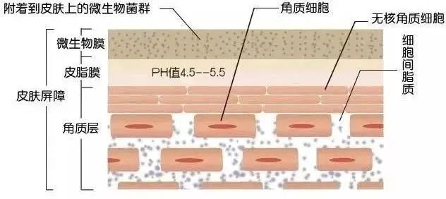 洗脸搓破了表皮会留疤吗,为什么洗脸之后总是有白色角质