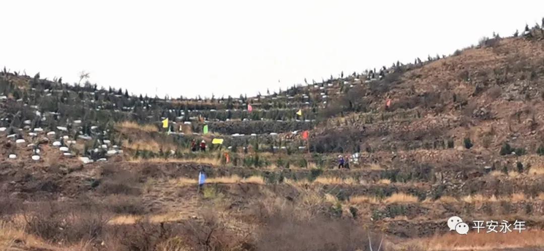 【永年公安】节日“警”相随，十里春风，最美“警”色在这里！