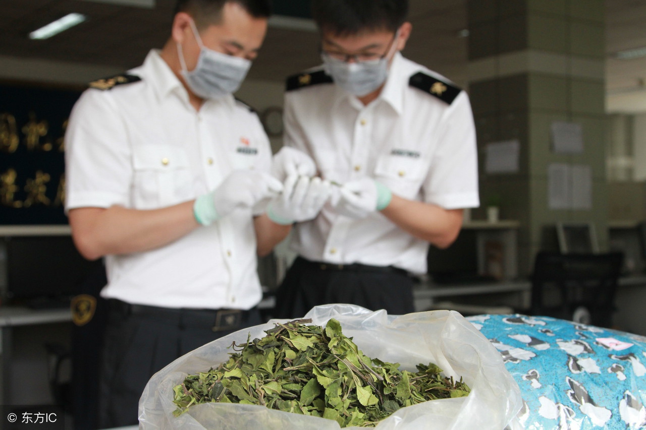 「国际禁毒日」小心伪装成奶茶、糖果的新型*品毒**