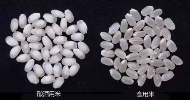 如何了解关于清酒的知识,三分钟搞懂什么是清酒