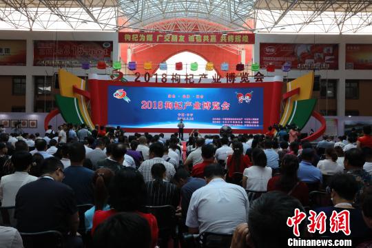 中宁枸杞的前景,中宁县枸杞品牌