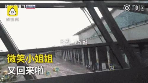 世界杯现场那些颜值巅峰女球迷,世界杯赛场那些高颜值女球迷瞬间