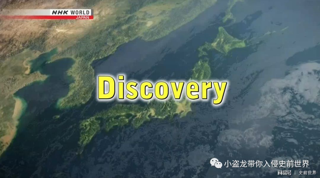 在日本发现的恐龙化石,史上最完好的恐龙化石