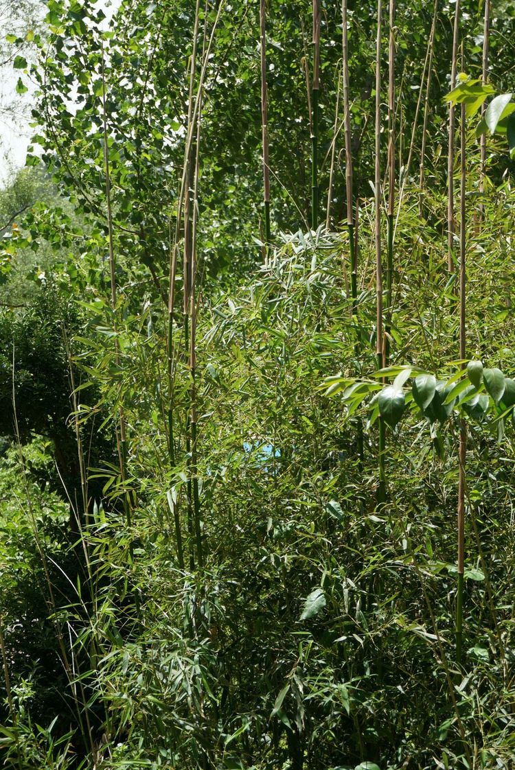 天晴湾风景区,淄川天晴湾