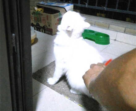 涓讳汉缁欑尗鍜寜鎽╀华,涓讳汉缁欑尗鍜嬁宸ュ叿