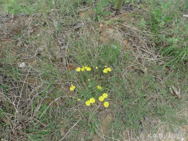 杨贵妃呆过的寺,杨贵妃宝峰寺