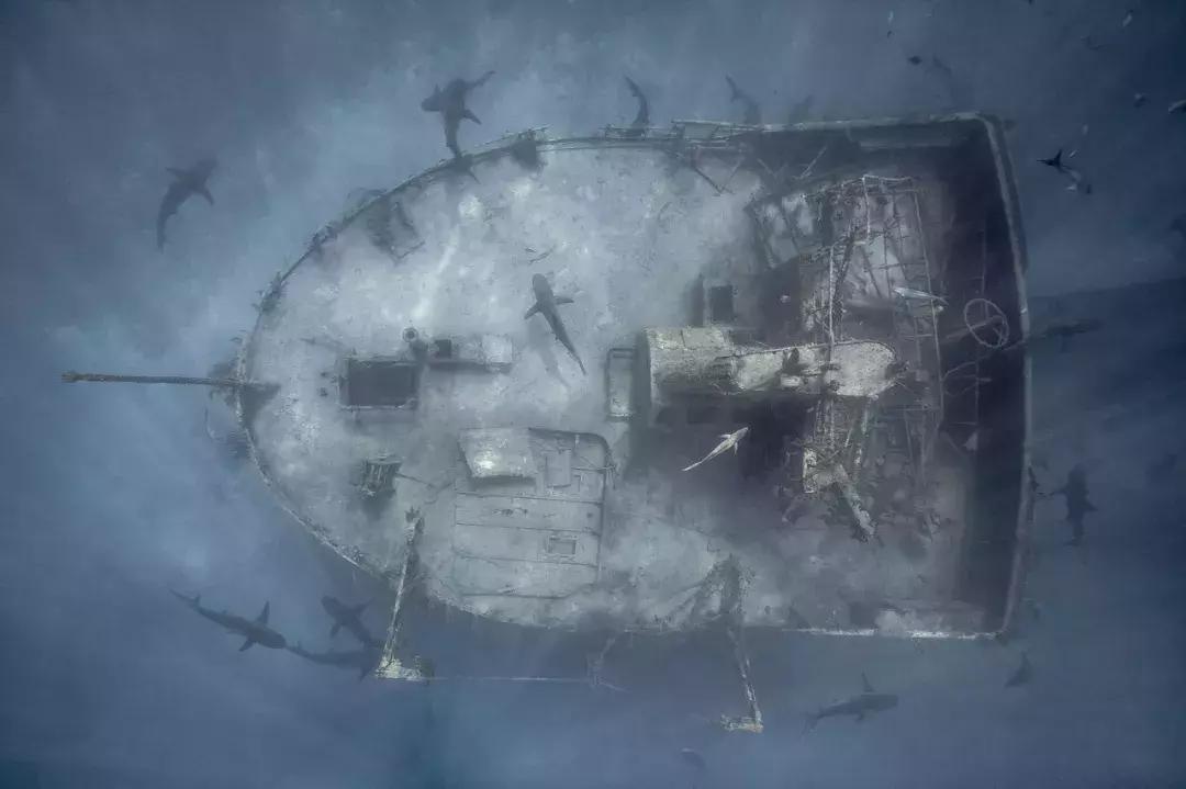 秋季旅行大片,旅行摄影大片有哪些