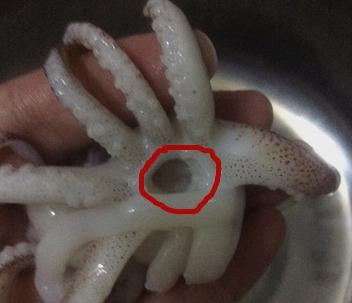 冰鱿鱼怎么处理最干净,鱿鱼怎么处理最干净视频