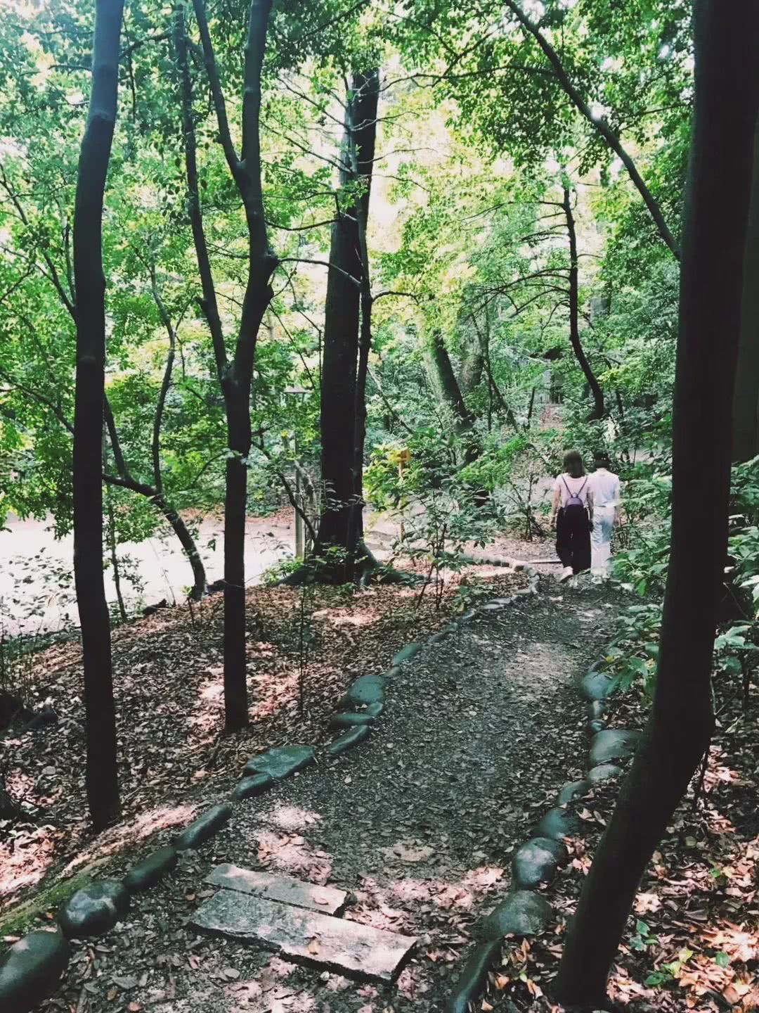 名古屋可以去哪里旅游,名古屋还能去吗