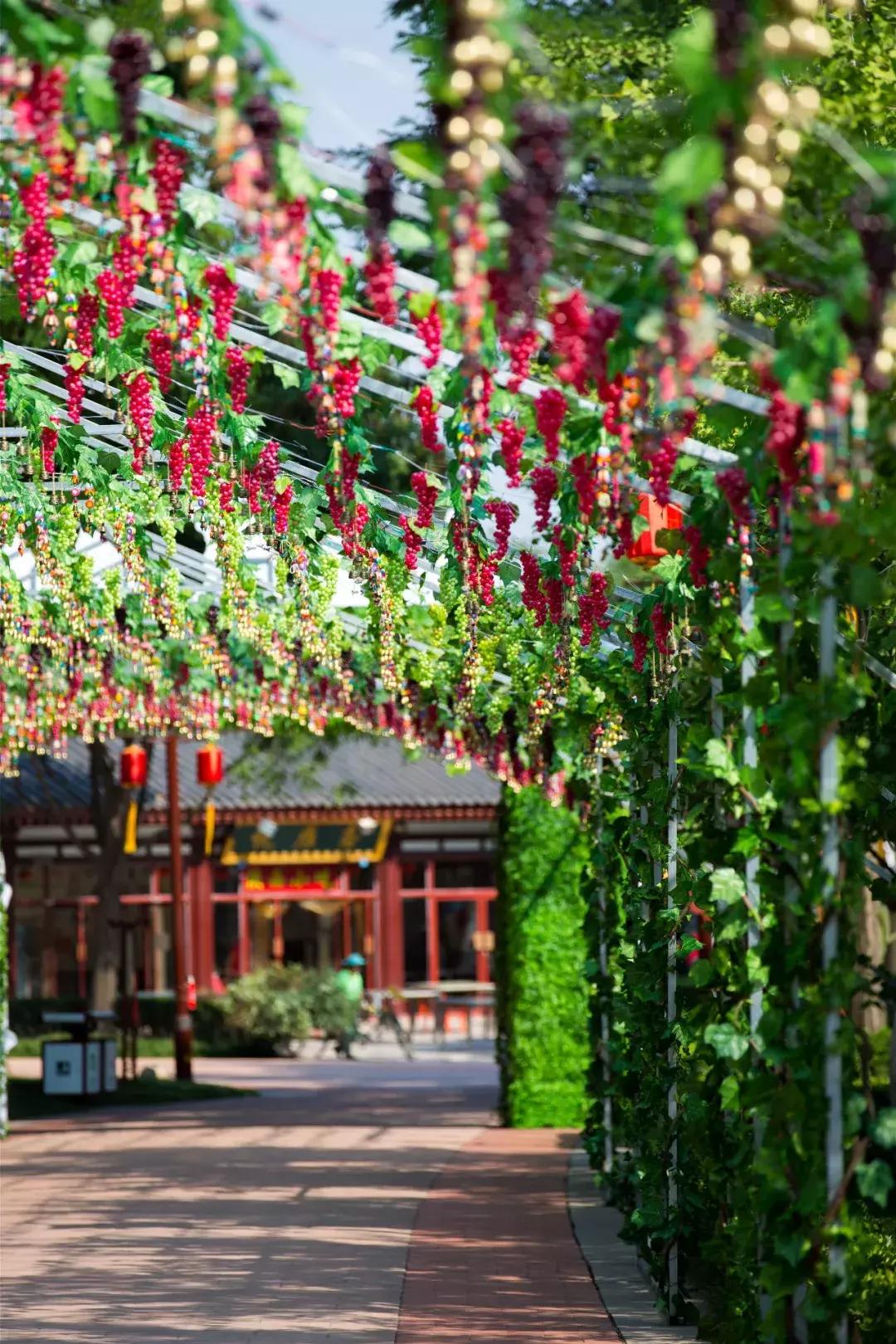 从飞机看大唐芙蓉园,探秘大唐芙蓉园