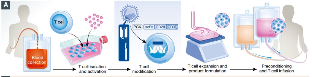 当世界杯遇上中国造,当世界杯遇上世界杯现场