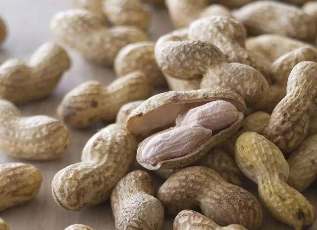 农村小本养殖创业项目大全,项目致富