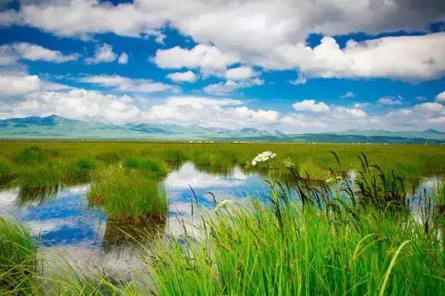 成都周边民宿独立院子僻静,成都周边深山民宿