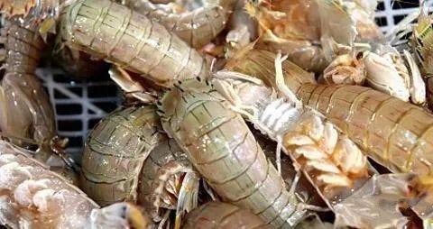 皮皮虾怎么吃才能补血,皮皮虾孕妇怎么做