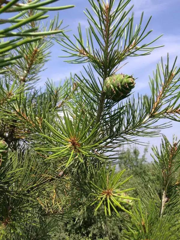 醉美临汾城,临汾最值得一看的地方