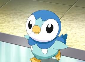 宝可梦朱紫dlc历代御三家怎么进化,精灵觉醒历代御三家