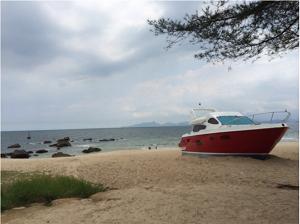 深圳福永一日游必去的地方,深圳必去的地方