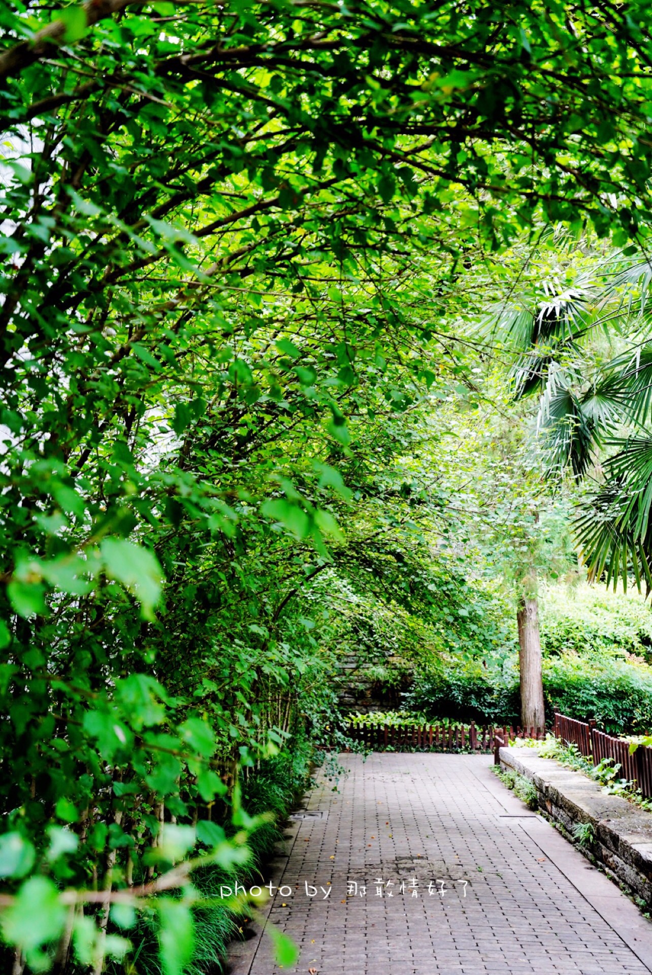 春节滁州小众景区游,滁州人文古城旅游攻略
